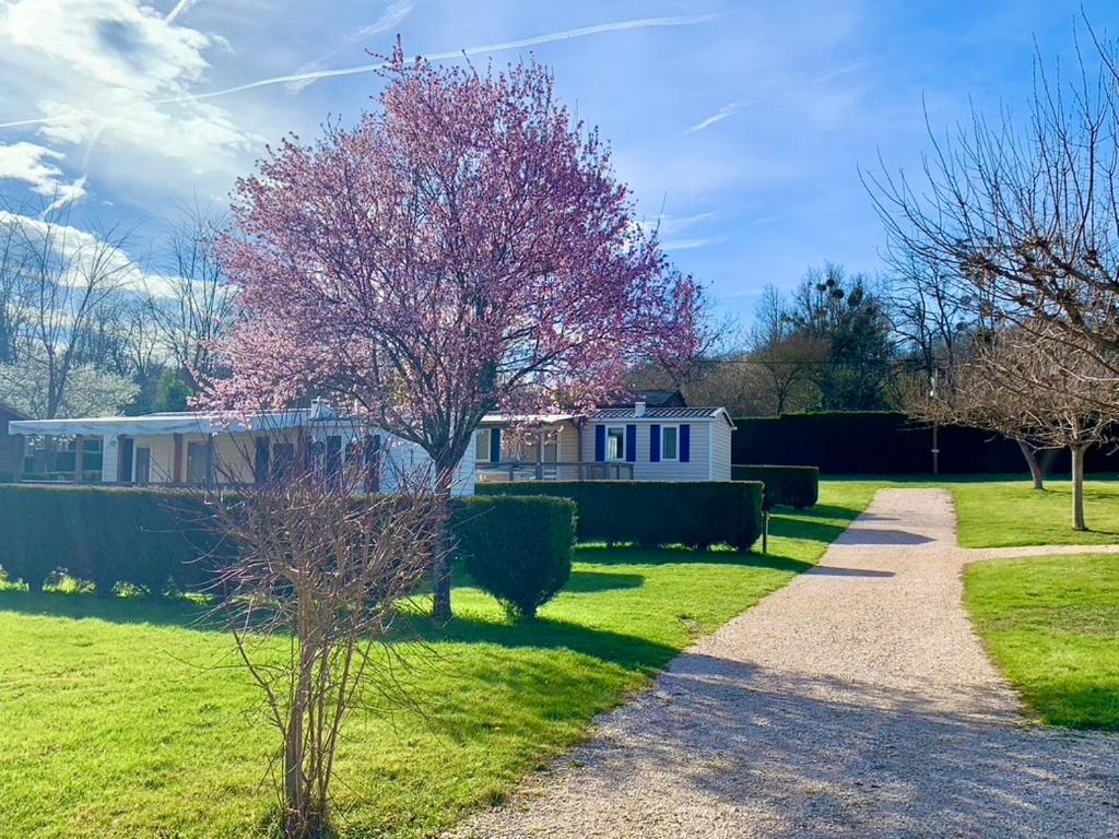 Camping Familial Paisible Avec Piscine, Mobil Home , Chalet, Studio & Emplacement Nue Casties-Labrande Exteriér fotografie